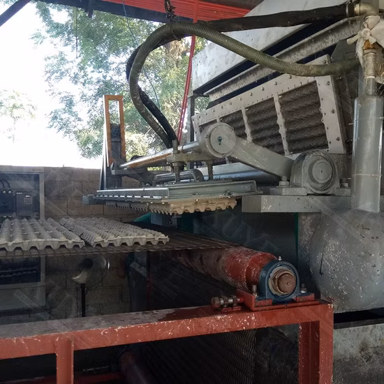 공장 가격을 가진 폐지 펄프 조형기 계란 쟁반 기계